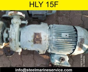 Heishin HLY 15F Pump (3).