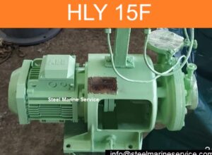 Heishin HLY 15F Pump (4).