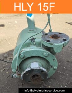 Heishin HLY 15F Pump (5).